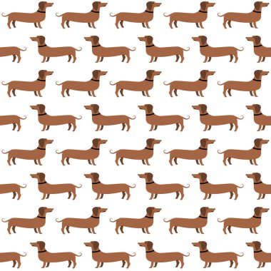 Dachshunds seamless modeli, vektör arka plan