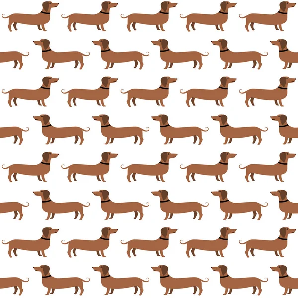 Dachshunds seamless modeli, vektör arka plan