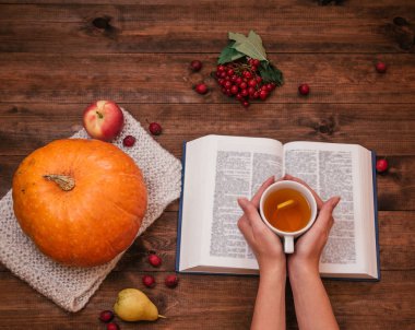 Kızın elini üstten görünüm bir tablo, bir kabak, elma ve bir kitap, ahşap masa telefonu.