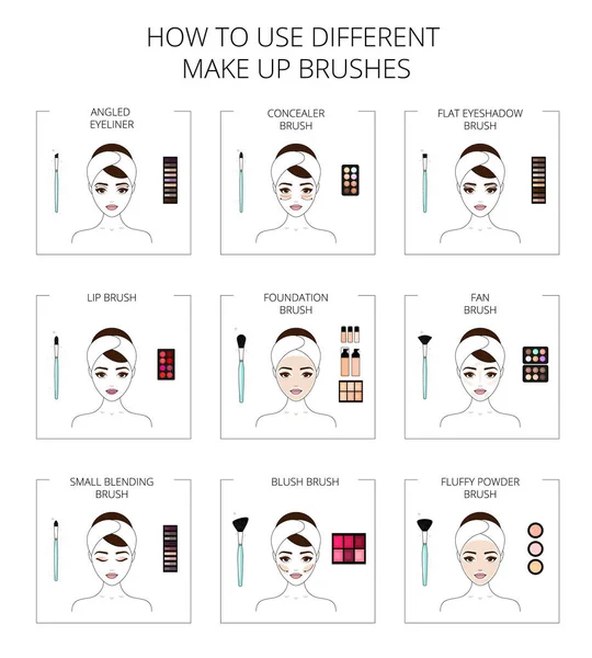 Cómo Utilizar Diferentes Pinceles Maquillaje Hermosa Joven Arte Línea Ilustración — Vector de stock