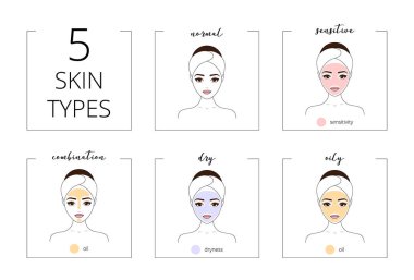 Skin types, normal, oily, combination, dry and sensitive types. Beautiful girl, isolated on white background, line style vector illustration. clipart