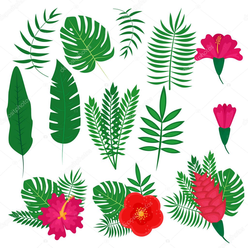 Set of tropical leaves and flowers, vector illustration