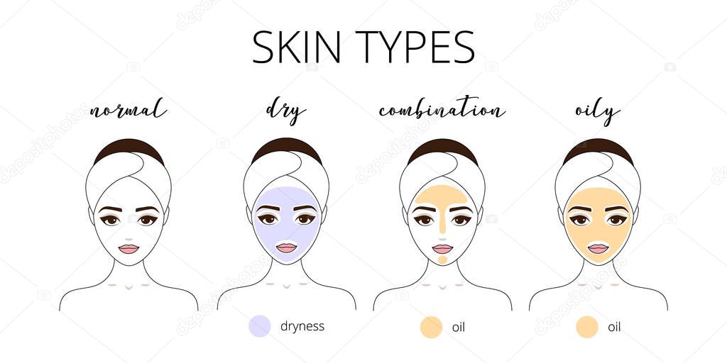 Four main skin types, normal, dry, combination and oily