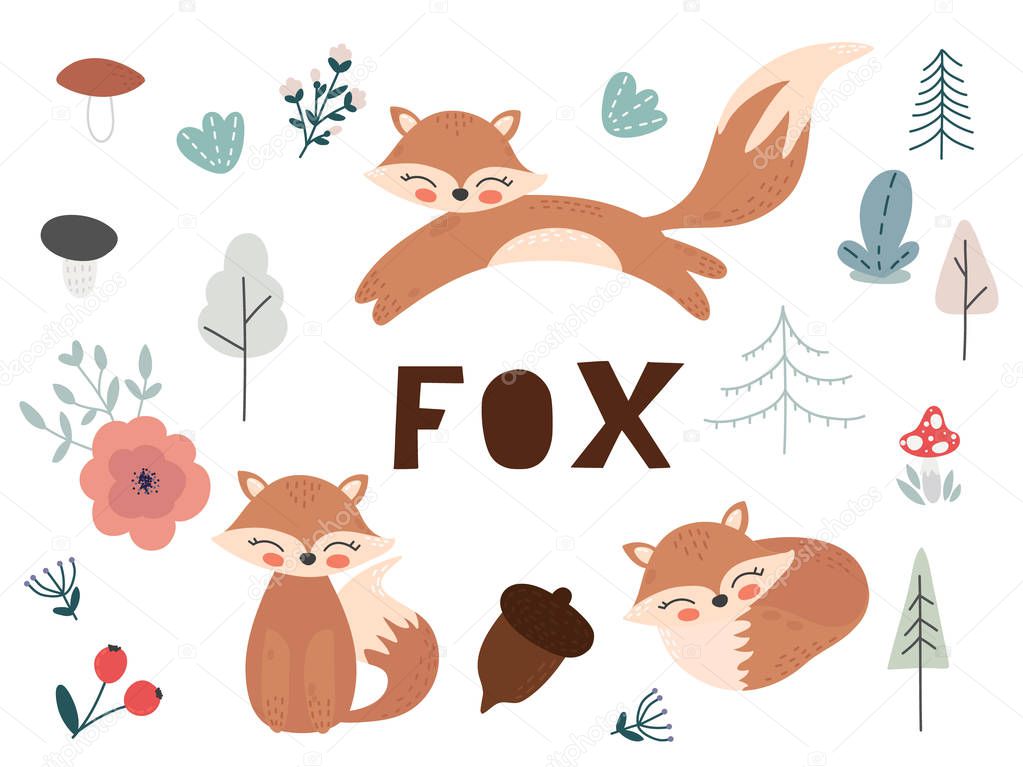 Cute cartoon fox. Fox characters set. Foxes, flowers and leaves vector illustration.