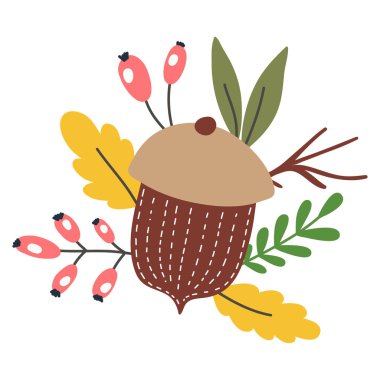 Yaprakları ile meşe palamudu vektör baskı. Hasat kavramı, sonbahar zamanı. Elle çizilmiş vektör illüstrasyonu.