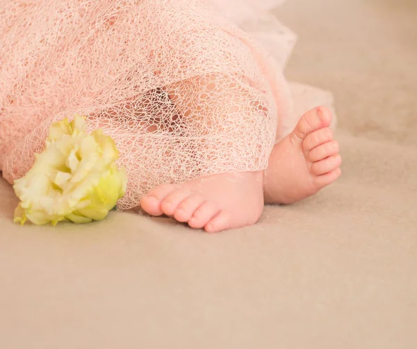 Close Criança Recém Nascida Com Flores Bebê Bonito Cobertor — Fotografia de Stock