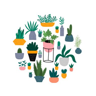 Ev bitkileri renkli el çizilmiş illüstrasyon daire içinde düzenlenmiştir. Sevimli tencereler, kaktüsler ve sulu etler. İskandinav tarzında izole karikatür öğesi.