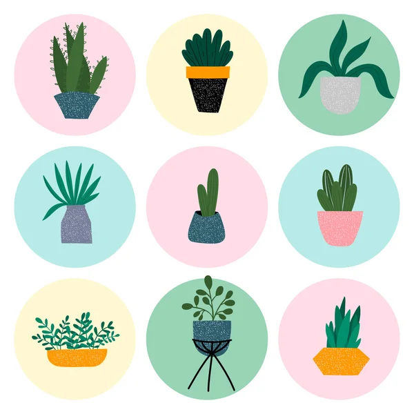 Casa plantas coloridas ilustración dibujada a mano conjunto de iconos. Bonitas ollas, cactus y suculentas. Artículo de dibujos animados aislados en estilo escandinavo . — Vector de stock