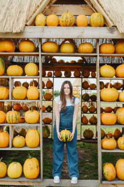 Sonbahar hasat pazarında balkabaklı bir kadın değişik türde bal kabakları durur.