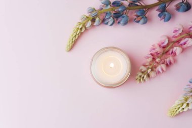 Pembe arka planda mum ve lupin çiçekleri