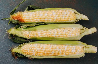 Mevsimlik tarım hasadı ya da sağlıklı yemek malzemesi fotoğrafçılığı için kabuklu üç taze mısır koçanı.
