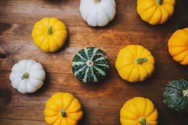 Tahta bir yüzeye dizilmiş bir sürü küçük balkabağı ve kabak..