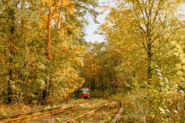 Küçük bir tren rengarenk sonbahar yapraklarıyla çevrili bir demiryolunda yol alır..