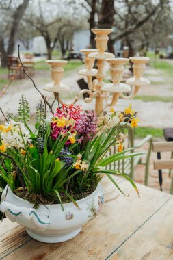 Bir saksının içindeki parlak çiçekler açık havada bir kır masasını dekore eder..