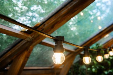Ahşap sera tavanında parlayan ampuller dizisi ortam aydınlatması ve rahat iç mekan konsepti için