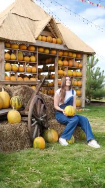 Sonbaharda kabaklı bir kadın saman balyalarının ve kırsal arabaların yanında kabak vitrininde.