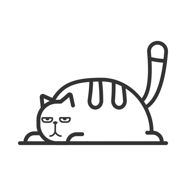 Fet katt i dispositionen stil. Vektor illustration av en inhemsk katt. — Stock vektor