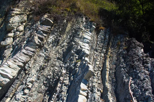 rocks and stones of the sea coast