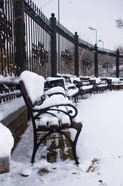 snow-covered benches, branches and trees in the city park, winter landscape