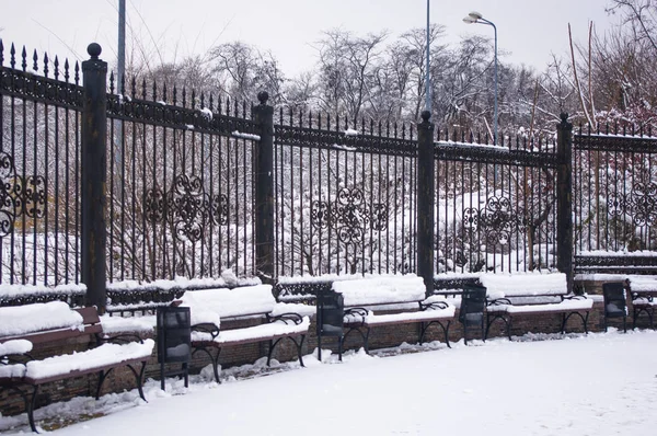 snow-covered benches, branches and trees in the city park