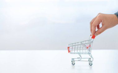 alışveriş sepeti arabası tutan el