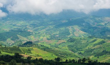 Tayland'ın kuzey kesiminde Chiang Rai eyaletinde yayla güzel görünümü.