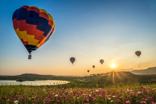 Grupp Varmluftsballonger Som Flyger Över Kosmos Blomma Fältet Landsbygden Chiang — Stockfoto
