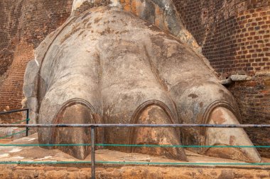 Aslan Pençesi 'nin, Sri Lanka' daki Sigiriya antik kalesindeki Aslan Kayası 'nın tepesine kadar olan neredeyse merdivenleri kapatın. Burası Sri Lanka 'daki UNESCO dünya mirası alanlarından biri..