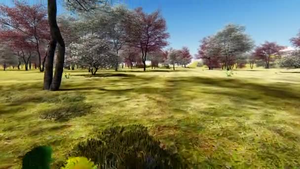 Virágzó dogwood fák a gyümölcsösben tavasszal 3d renderelés — Stock videók