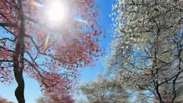 Blühende Hartriegel im Obstgarten zur Frühlingszeit 3D-Rendering — Stockvideo