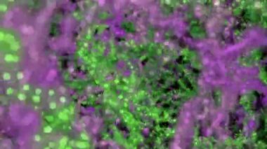 Güzel organik şekillere animasyon