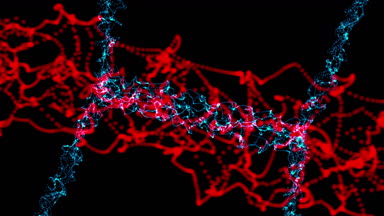 Güzel organik şekillere animasyon