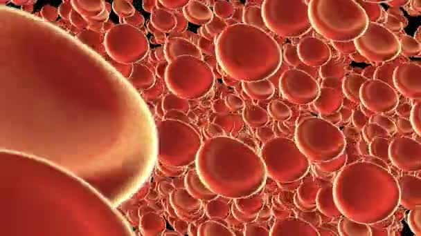 krevní buňky putující žilou