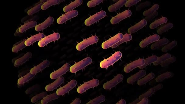 Grote besmettelijke bacteriën animatie — Stockvideo