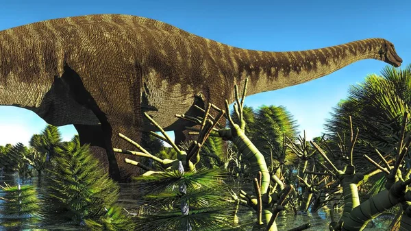 Obrovské Diplodocus Mokřadní Při Západu Slunce Obrázek — Stock fotografie