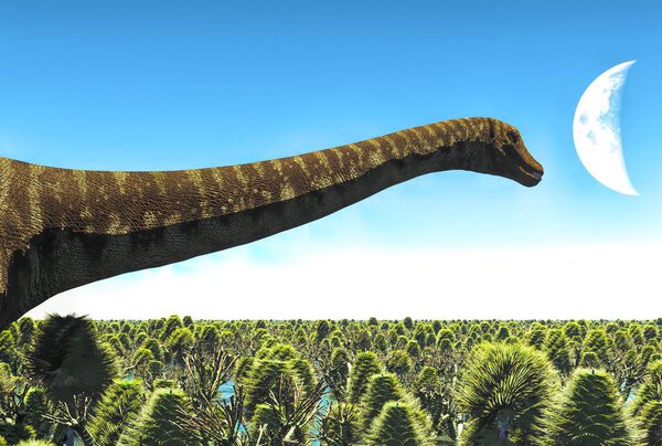 Huge Diplodocus in wetland at sunset, 3d illustration