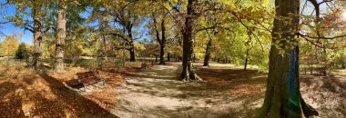 Muhteşem sonbaharda hafif park