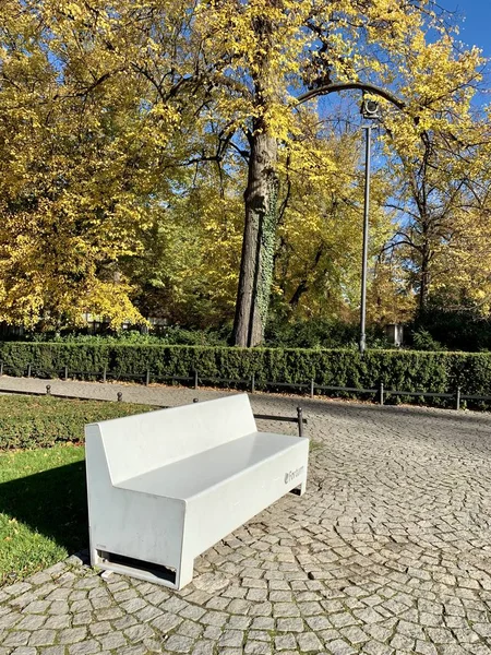 Splendide Lumière Automne Dans Parc — Photo