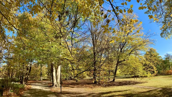 Muhteşem Sonbaharda Hafif Park — Stok fotoğraf