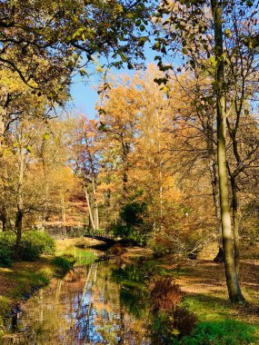 Ağaçlarda güzel yıldırım düşme zamanı
