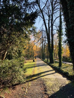 Ağaçlarda güzel yıldırım düşme zamanı