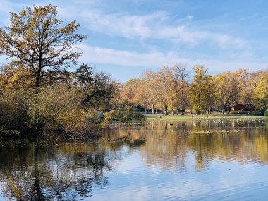 Ağaçlarda güzel yıldırım düşme zamanı