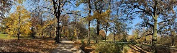 Beautiful lightning in trees in fall time