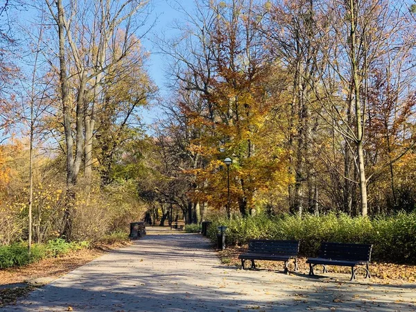 Hermoso Rayo Los Árboles Tiempo Otoño —  Fotos de Stock