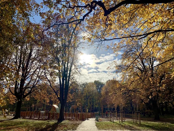 Mooie Bliksem Bomen Vallen Tijd — Stockfoto