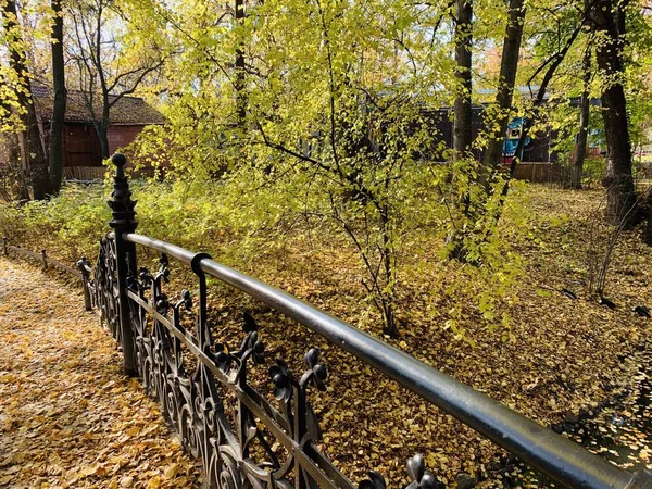 Bellissimo Fulmine Sugli Alberi Autunno — Foto Stock