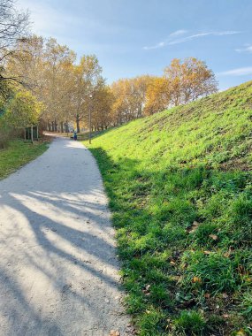 Ağaçlarda güzel yıldırım düşme zamanı