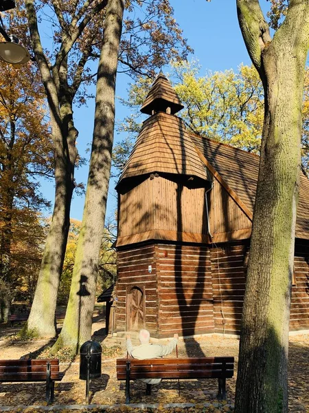 Schöne Blitze Bäumen Der Herbstzeit — Stockfoto