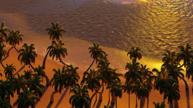 Palmiye ağaçları ve tropik plajlar