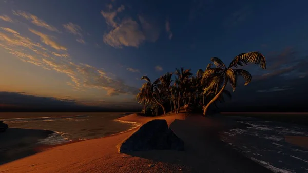 Пальмы Тропический Пляж — стоковое фото